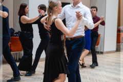 20260128-DSC07596