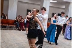 20260203-DSC03234